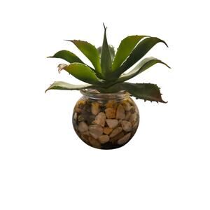 Faux Agave Succulent in Glass Bowl with River Stones Modern Desktop Decor 5"